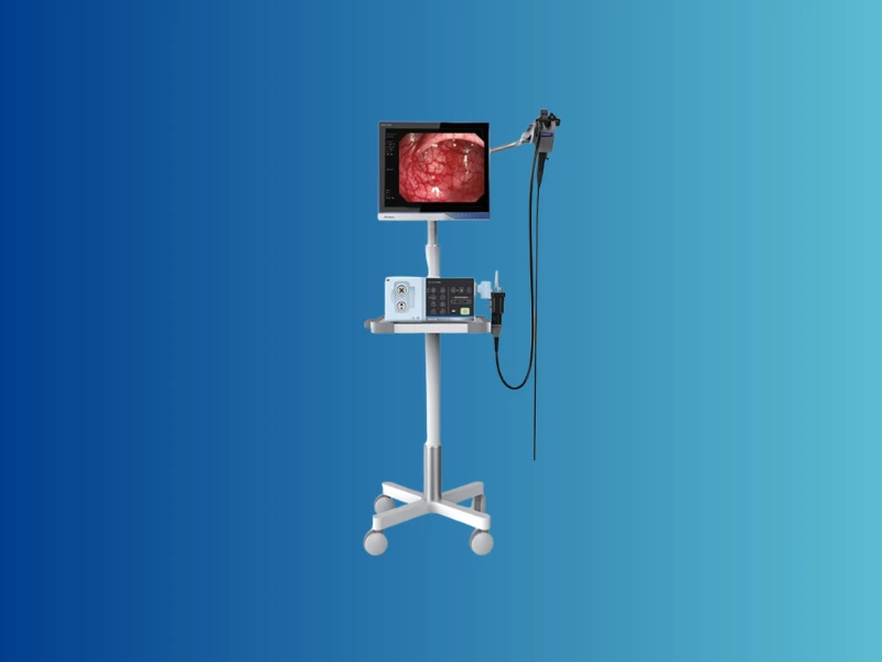 Endoskopi – Kartepe Veteriner Kliniği İzmit