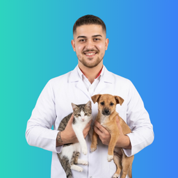 Ensar Samet Yaşar